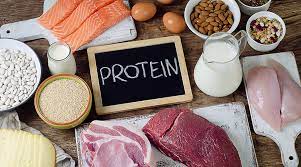 protein picture